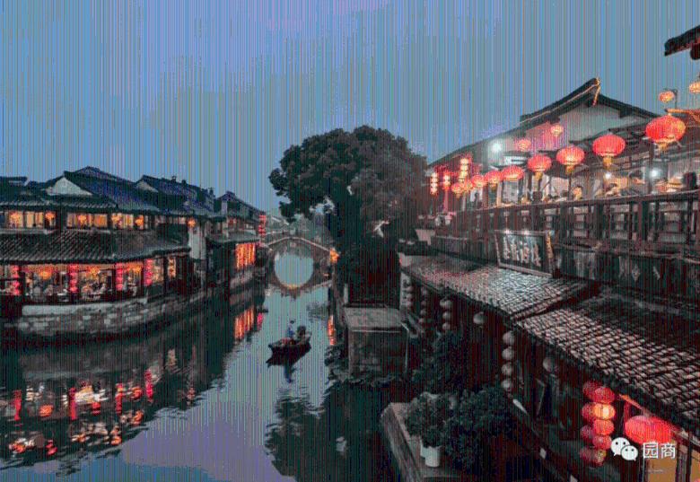 探讨交流,尽在天涯问答平台黄桷兰花怎么变叶子了呢?